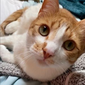 Meet your Posher, Kayden